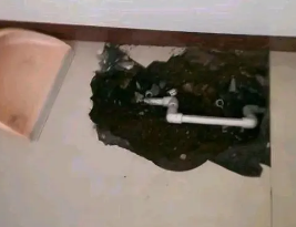 唐县卫生间测漏水多少钱